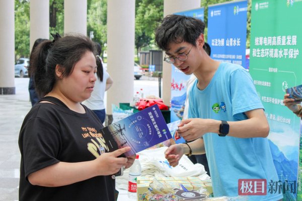 世界杯体彩官网 好意思术馆里“绿”意浓：国网湖北电力志愿者带你读懂电网环保