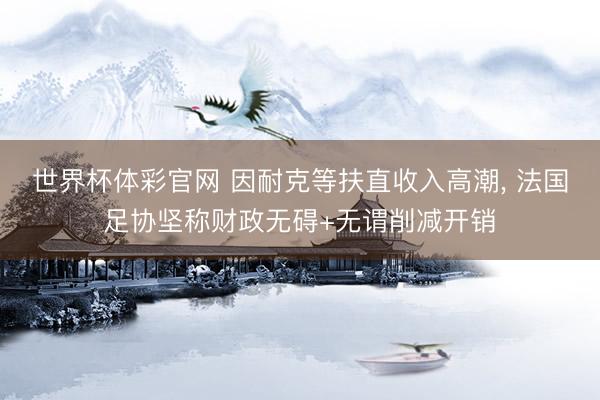 世界杯体彩官网 因耐克等扶直收入高潮， 法国足协坚称财政无碍+无谓削减开销