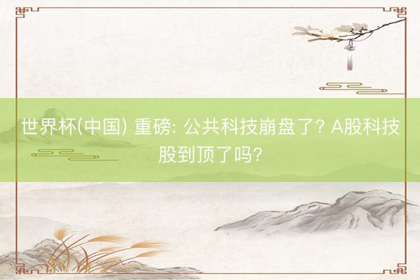 世界杯(中国) 重磅: 公共科技崩盘了? A股科技股到顶了吗?