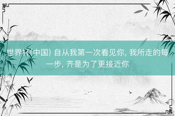 世界杯(中国) 自从我第一次看见你， 我所走的每一步， 齐是为了更接近你