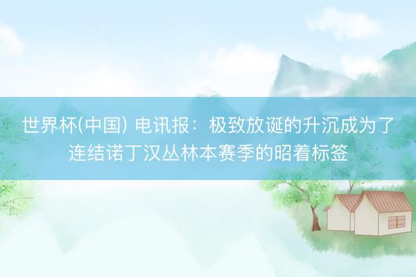 世界杯(中国) 电讯报：极致放诞的升沉成为了连结诺丁汉丛林本赛季的昭着标签
