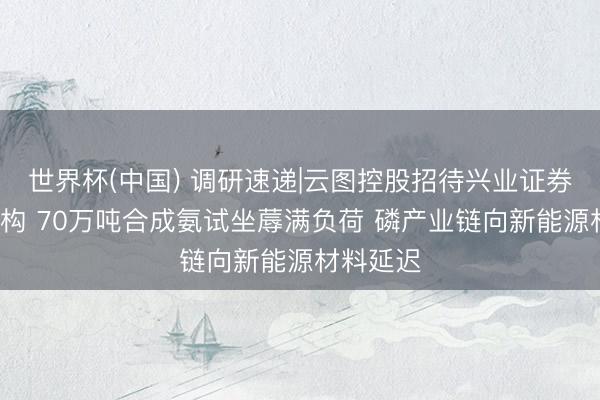 世界杯(中国) 调研速递|云图控股招待兴业证券等3家机构 70万吨合成氨试坐蓐满负荷 磷产业链向新能源材料延迟