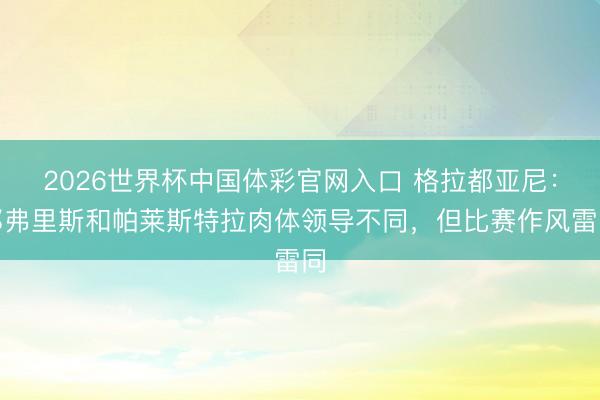 2026世界杯中国体彩官网入口 格拉都亚尼：邓弗里斯和帕莱斯特拉肉体领导不同，但比赛作风雷同