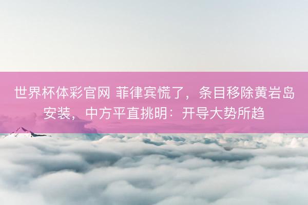 世界杯体彩官网 菲律宾慌了，条目移除黄岩岛安装，中方平直挑明：开导大势所趋
