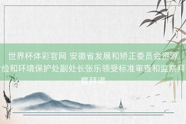世界杯体彩官网 安徽省发展和矫正委员会资源省俭和环境保护处副处长张乐领受标准审查和监察拜谒