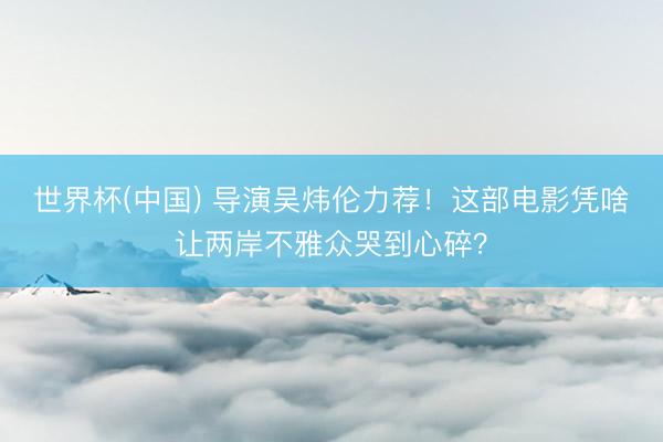 世界杯(中国) 导演吴炜伦力荐！这部电影凭啥让两岸不雅众哭到心碎？