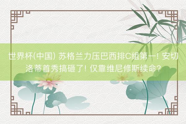 世界杯(中国) 苏格兰力压巴西排C组第一! 安切洛蒂首秀搞砸了! 仅靠维尼修斯续命?