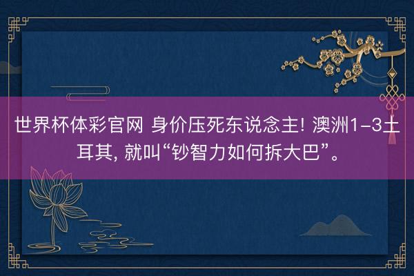 世界杯体彩官网 身价压死东说念主! 澳洲1-3土耳其, 就叫“钞智力如何拆大巴”。