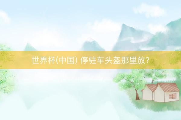 世界杯(中国) 停驻车头盔那里放?