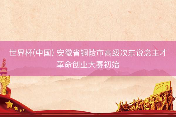 世界杯(中国) 安徽省铜陵市高级次东说念主才革命创业大赛初始