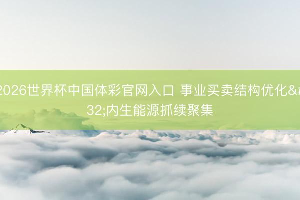 2026世界杯中国体彩官网入口 事业买卖结构优化 内生能源抓续聚集