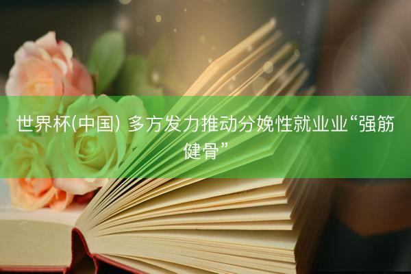 世界杯(中国) 多方发力推动分娩性就业业“强筋健骨”