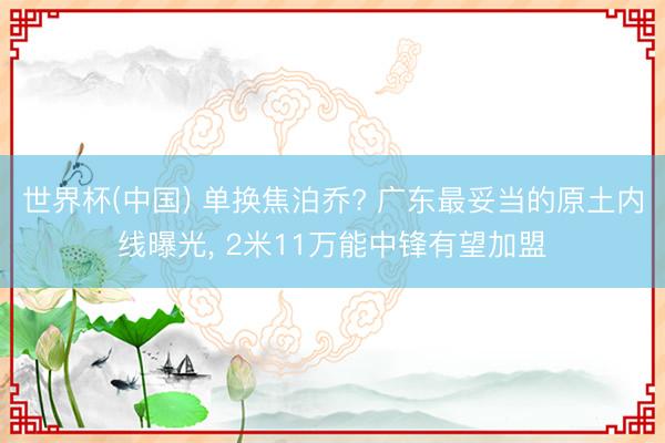 世界杯(中国) 单换焦泊乔? 广东最妥当的原土内线曝光， 2米11万能中锋有望加盟