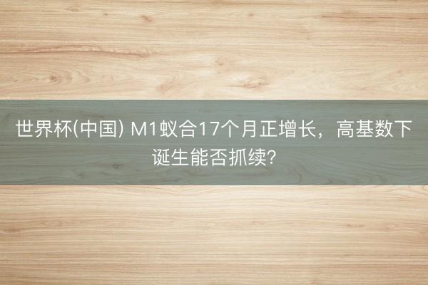 世界杯(中国) M1蚁合17个月正增长,高基数下诞生能否抓续?