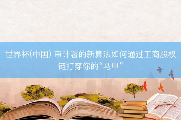 世界杯(中国) 审计署的新算法如何通过工商股权链打穿你的“马甲”