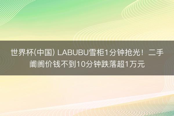 世界杯(中国) LABUBU雪柜1分钟抢光！二手阛阓价钱不到10分钟跌落超1万元
