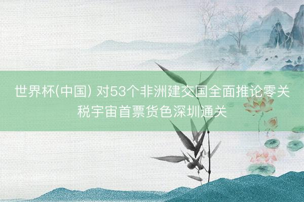 世界杯(中国) 对53个非洲建交国全面推论零关税宇宙首票货色深圳通关