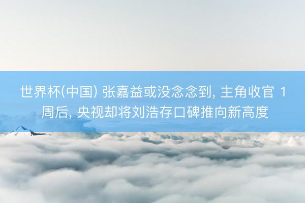世界杯(中国) 张嘉益或没念念到, 主角收官 1 周后, 央视却将刘浩存口碑推向新高度